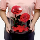 Giant Timeless Rose - Standard