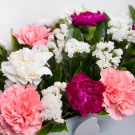Memorial Basket - Standard