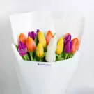 Vibrant assorted tulips in orange, yellow, and purple wrapped in white paper bouquet