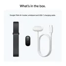 Google Fitbit Air 5