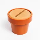 Cactus Coaster Set - default