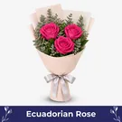 Pink Ecuadorian Love.webp