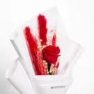 Velvet Kisses - Standard