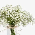 Cloud Garden 2