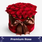 All For Love - default