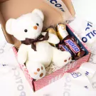 Teddy's Sweet Delights - default