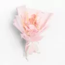Pink Whisper - Standard