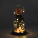 Coral Charm - Default