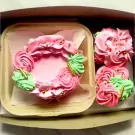 Chic Pastel Dreams Cupcake Set - Regular Bundle - Chocolate