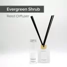 Evergreen Shrub Reed Diffuser - default