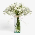 Cloud Garden 1