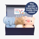 Oh Baby! Reveal Kit - Standard