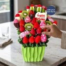 Tropical Temptation - Standard