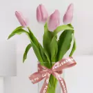 Pink Tulips (5 Stems) - default