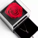 Birthstone Jewelry Box - February