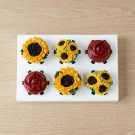 Sunny and Rosy Cupcakes - Standard