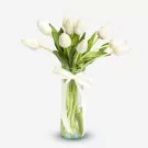 White tulips in clear vase with green stems and white ribbon bow