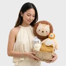 Newborn Essentials Gift Basket 2