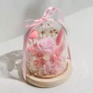 Blush Serenity - default