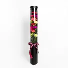 Rainbow Drops - Standard