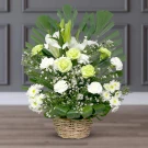 Harmony of Heaven - 1pc