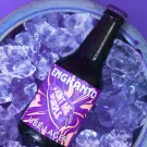 Paint Me Purple Ube Lager 4-Bottles - 4 Bottles