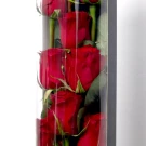 From My Heart - Standard
