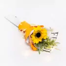Sunshine Bunch - default