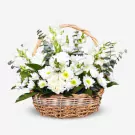 Basket of Chances - Standard