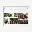 Most Searched Personalized Poster - Standard
