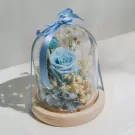 Azure Tranquility - default