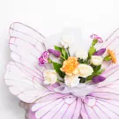Butterfly Dream - Standard