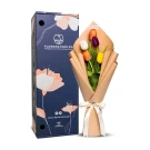 Meadow Melody - Standard