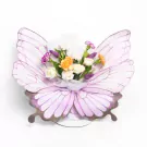 Butterfly Dream - Standard