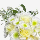 Floral Embrace - Standard