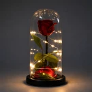 Enchanted rose with red petals under glass dome with warm LED lights and green leaves