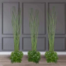 Thai Grass Wall - Standard