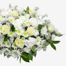 Graceful Farewell - Standard