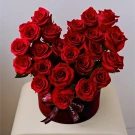 Red Majesty Velvet Box (23 Ecuadorian Roses) - Standard
