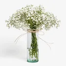 Cloud Garden 1