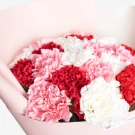 Bouquet of red, pink, and white carnations arranged in soft pink wrapping paper