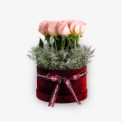 Opulent Bloom (12 Ecuadorian Roses) - Standard