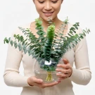 Eucalyptus Bowl