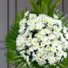 White daisies with yellow centers arranged in spherical bouquet with green foliage