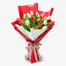 Red Tulip Dreams - Standard