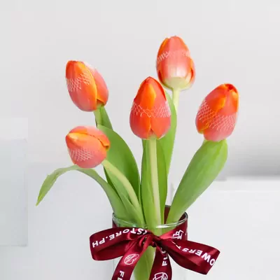 Five red-orange tulips with green stems tied with burgundy ribbon bow