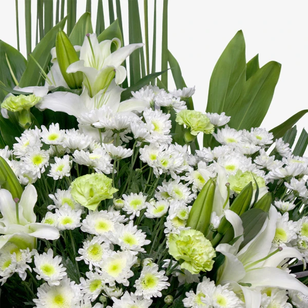 Graceful Tribute - 1pc