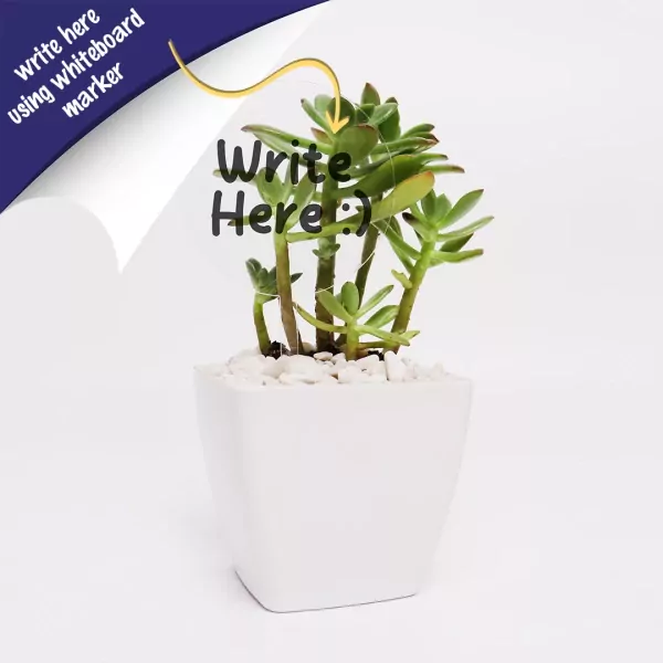 Write & Grow - default