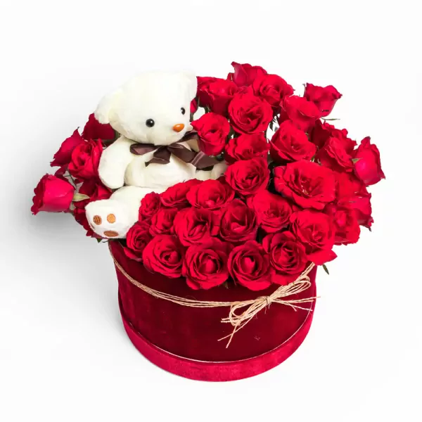 Beary in Love - Standard