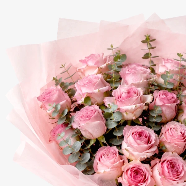 Blushing Pink Rose